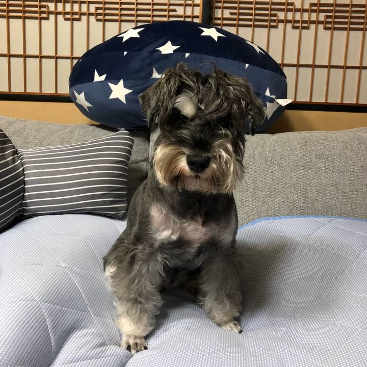 45221bac 216c 43b0 9f76 093c5da9885f 1602155620205