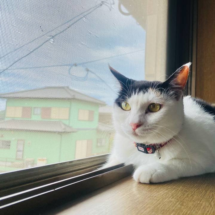 45221db7 08ac 4f93 827f 580bc2e29bc5 1656846611614