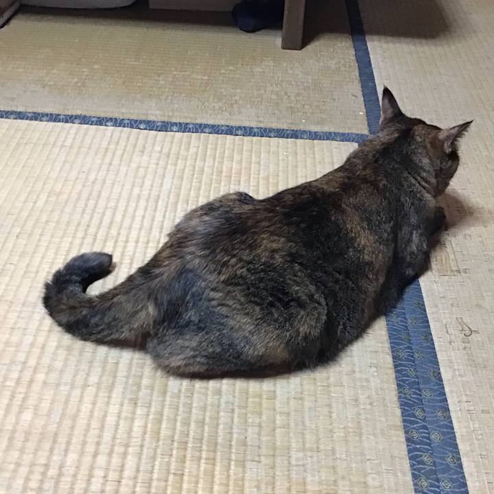 45225061 9305 4dba ae37 8d1353322a0a 1757154245373