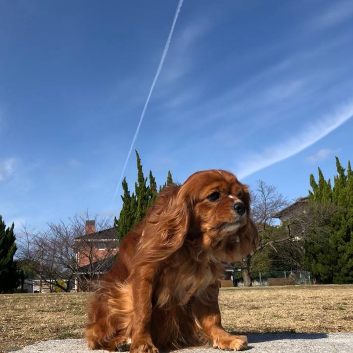 45227cab f6b4 4652 86b3 5f22383c30ea 1615415089363