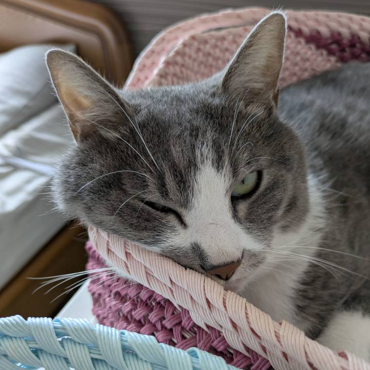 4522c8ea 57d8 47b0 b585 8f88ef6f7891 1752459177985