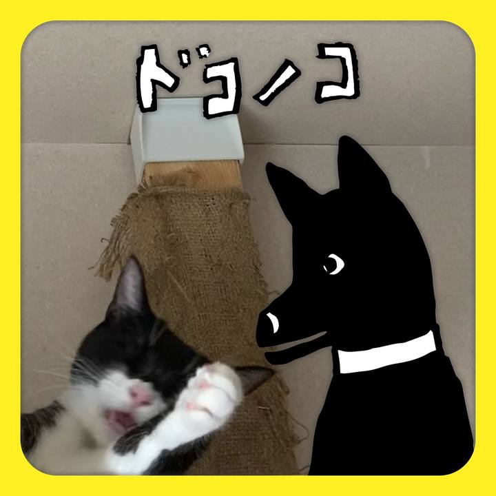 4522dd34 33d4 4165 b874 2dd27c337043 1623151768712