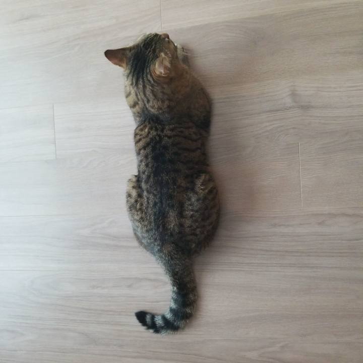 4522e142 9503 4665 a8d3 8205a1b965f7 1586122967763