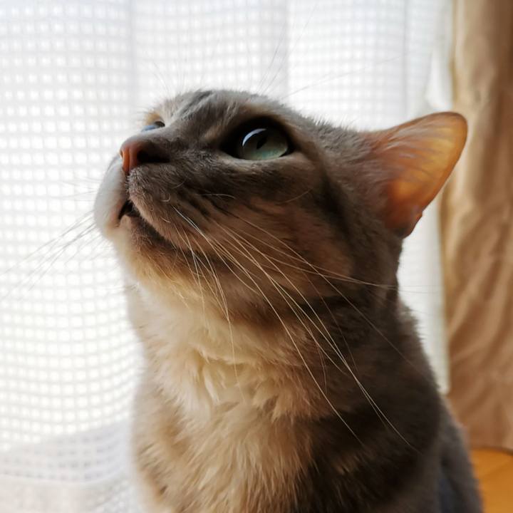 4522f046 9df5 4f5d ad60 4e2bdd13b60c 1651808932386