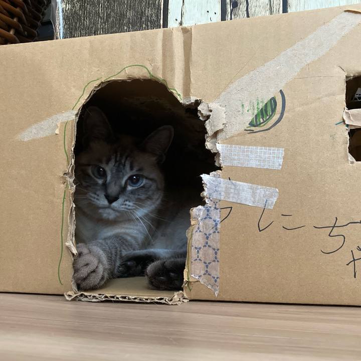 45235ada ad00 469a b460 1c11a956f4a2 1626732651615