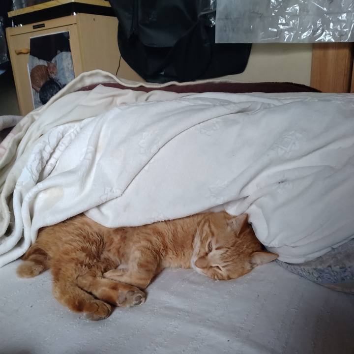 452366b2 2d4b 43d0 a4b9 027ce46bff1f 1712649943531