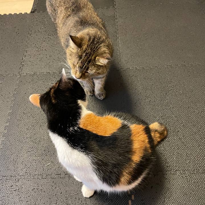 4523b656 3a3e 4e92 9c9a 161eb1218b6b 1719787833072