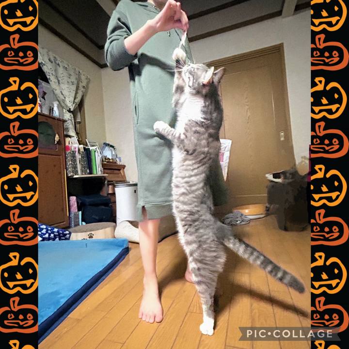 4523b875 4c38 49a3 abda f4624cf6a04b 1761260421625