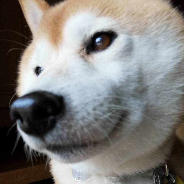 4523c4f0 c808 49b9 86c0 61e2d4d17069 1588146405946