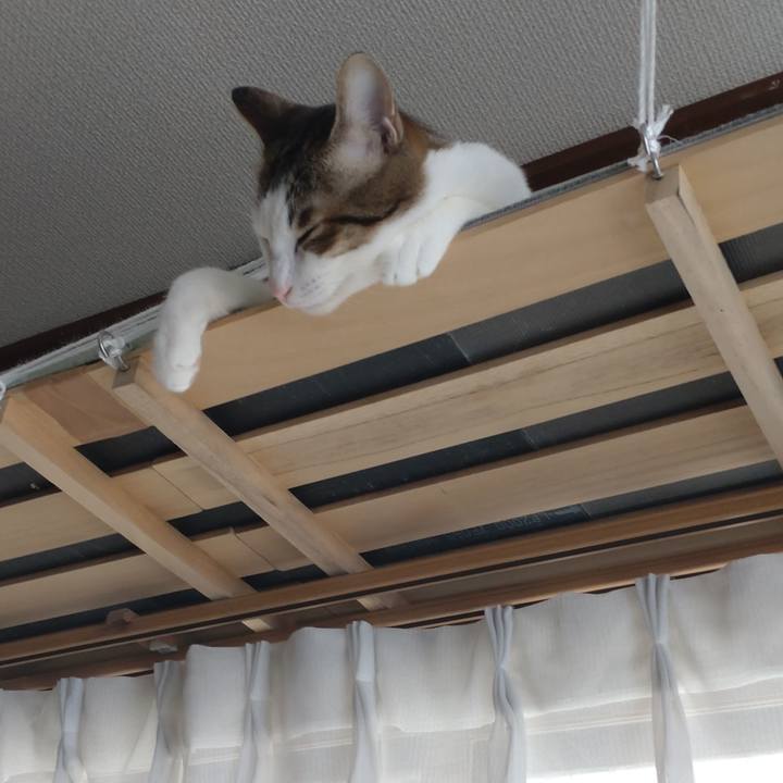 4523c8db cb45 4f37 83fb c710f42651de 1672445461160