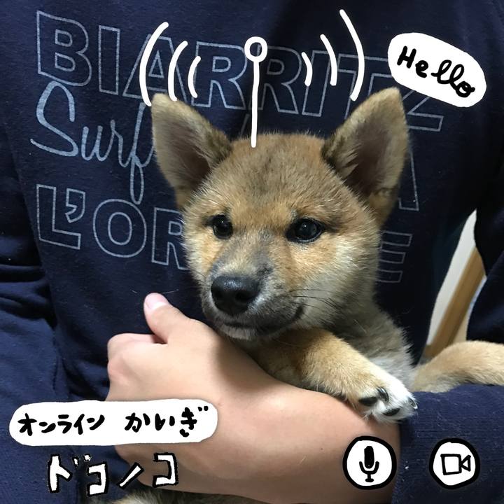 4523d077 c414 4166 a84b 237b59d5c525 1590758565096