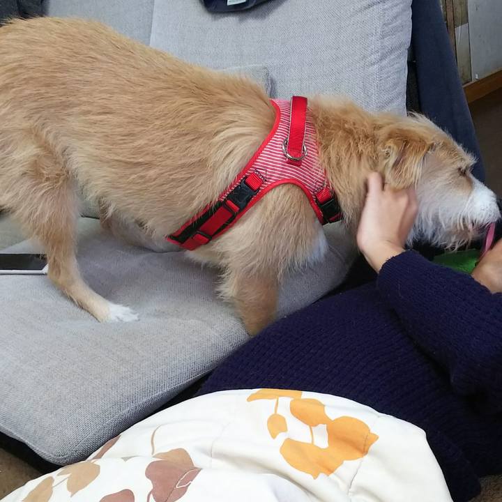 4523e4b1 1ef0 487e b30b e77e8a6107d0 1516424158014