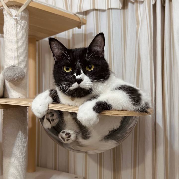 4523ea7a f0c6 48dd 804f 19a830bcf87d 1760972724709