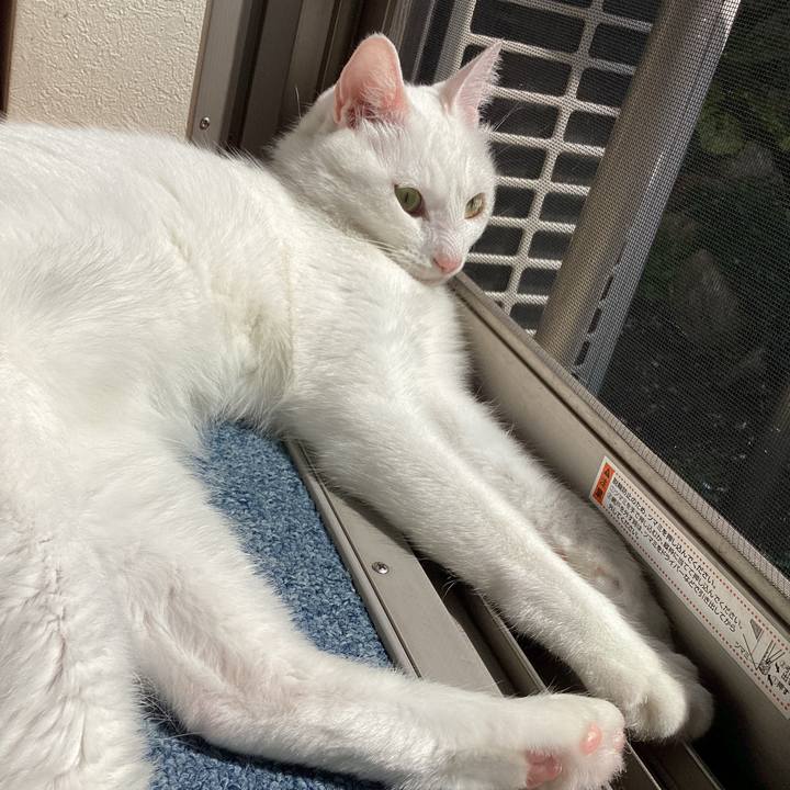 4523f35f bb48 45f3 a928 37004bf18ea3 1680328839793