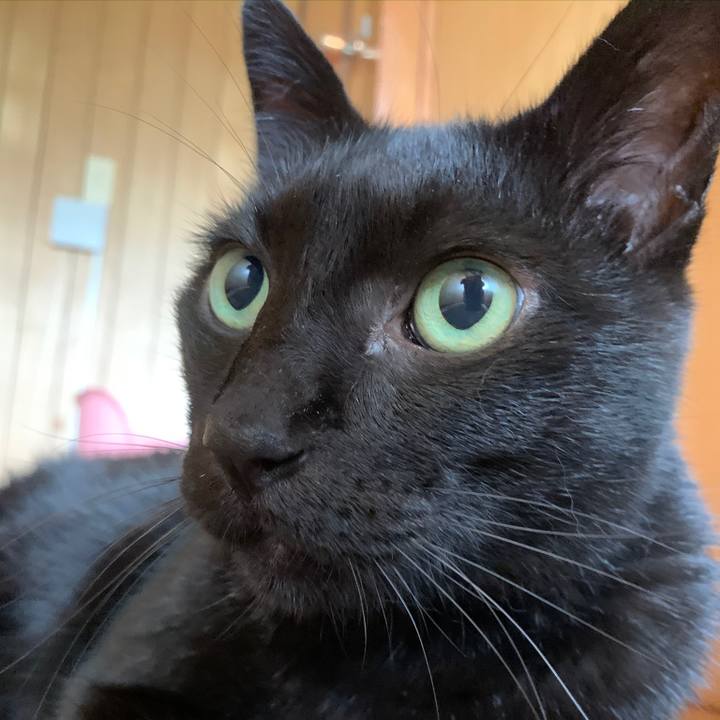 4524353f 84d4 43c9 9557 a70850449666 1570843548171