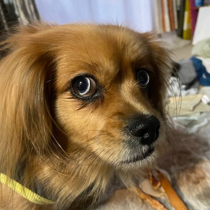 45246565 b605 43f8 97cd 832b782cd36f 1641938893073