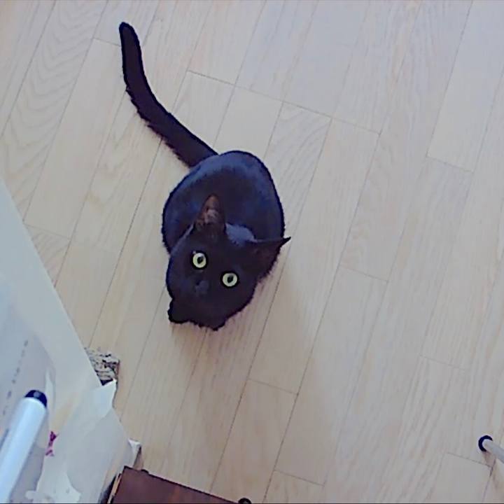 45246ef8 8e61 4919 95a7 443165ad54b7 1535089529140