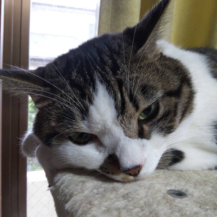 45248ac1 b9e6 4f17 a9d8 b3b29feac805 1662161287913