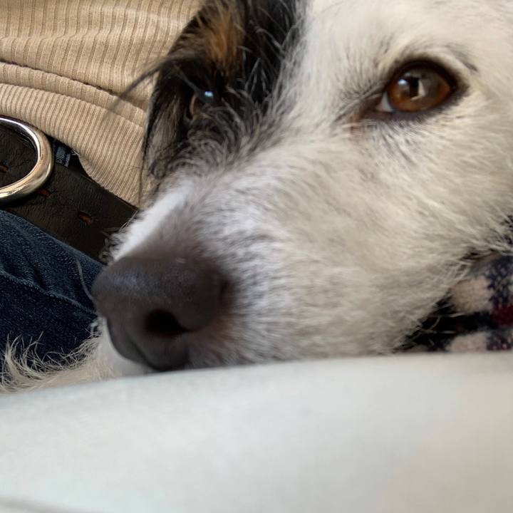 4524b164 1847 455f a9cf 73d03bf4c902 1585803396575