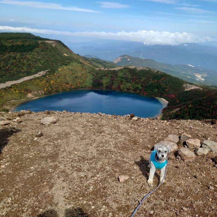 452544e7 5a68 4040 8458 13846c2366f1 1759743344517