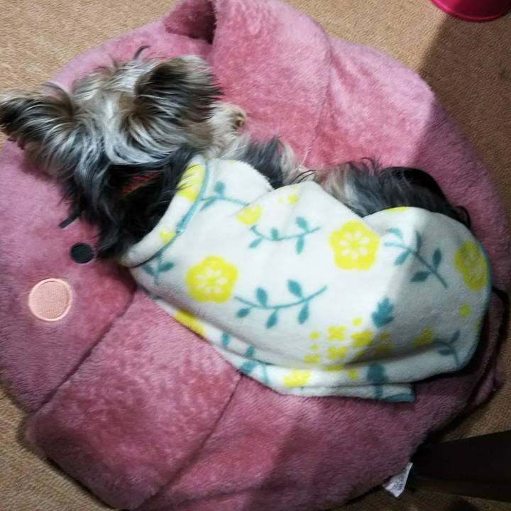 45258b73 959d 4fec b7bd 757494b48be5 1550673686209