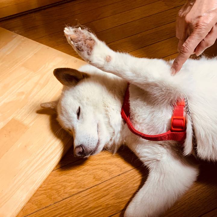 45259e23 1a5e 4ffe 8fee d257921f8559 1586439963381