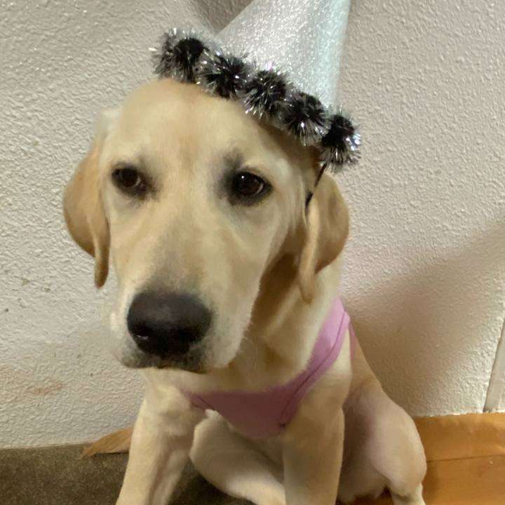 4525ad29 f895 42a6 aed4 598b8923400d 1619354477964