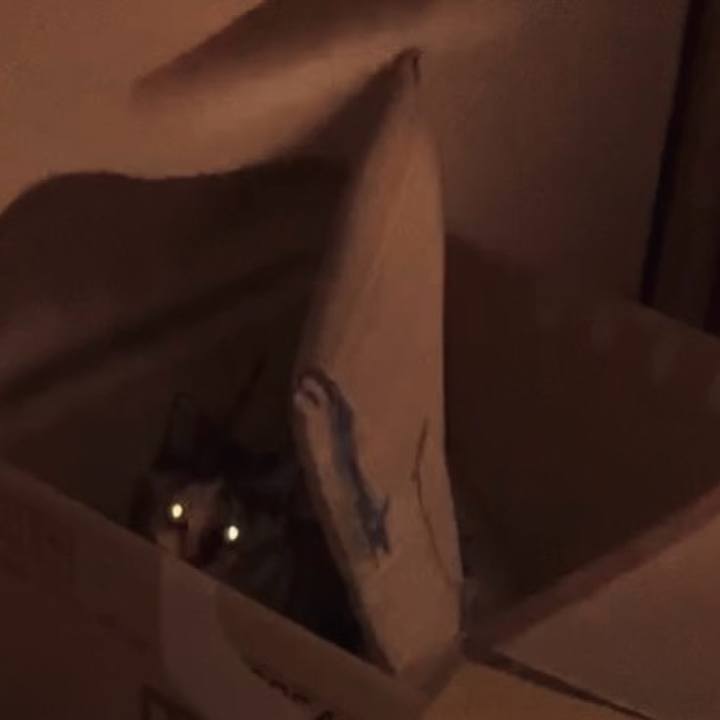 4525b533 f73c 45ff 827f 1b01ccb2ee79 1729968065398