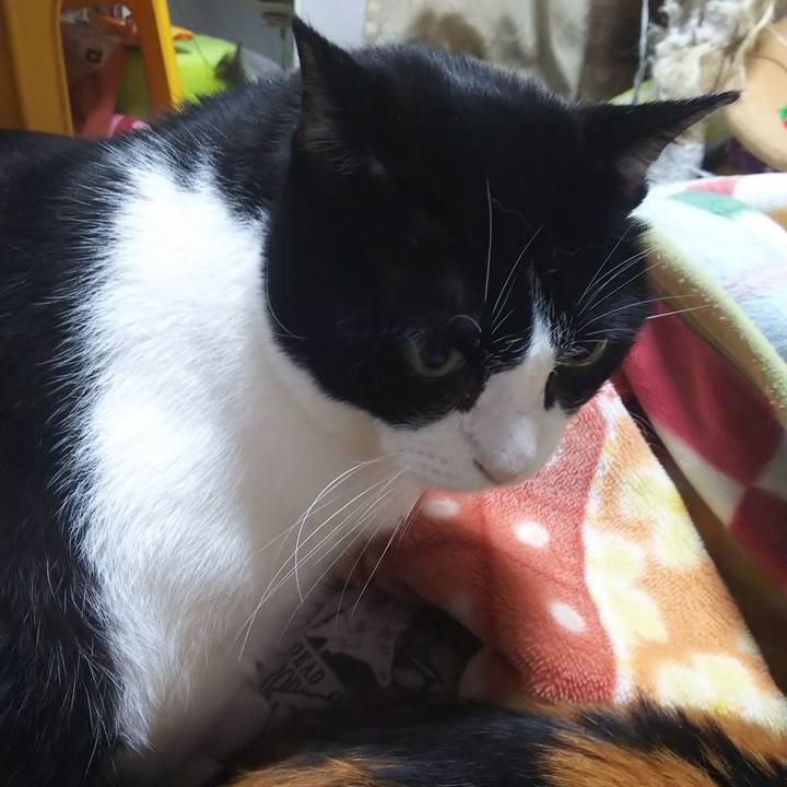 4525c113 712f 4c5b 974c ecb756c55d02 1572299449843