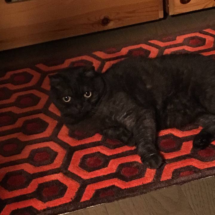 4525d957 49c4 480f 8167 9bd0324213be 1530795952619