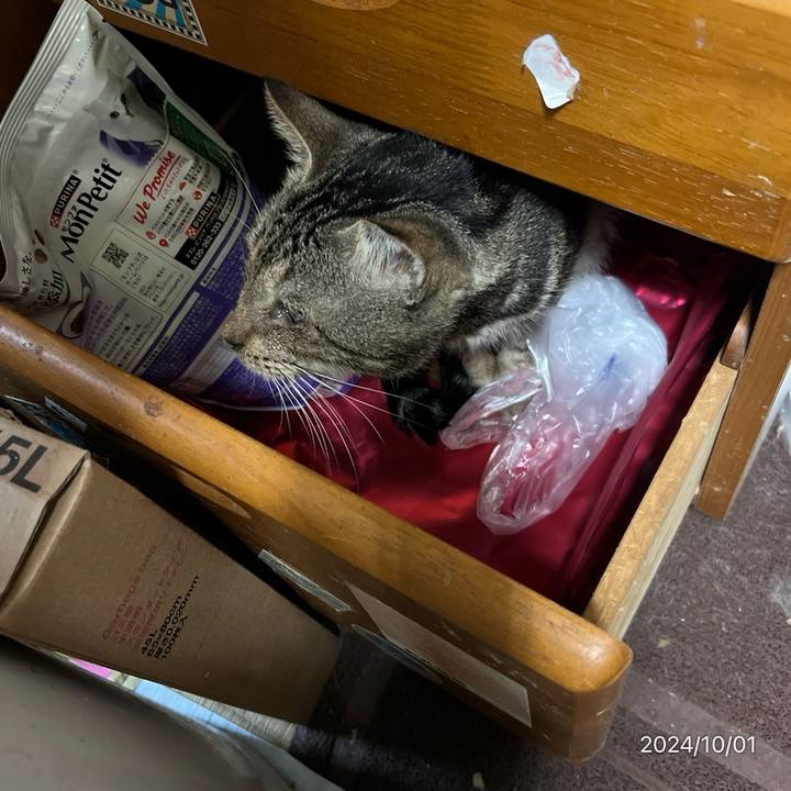 4525e880 43c3 4813 8bf8 fbe69fb0d7dc 1727821053260