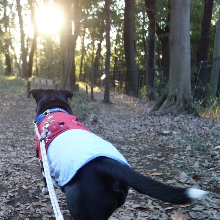 452613dd b5fb 4b0b 9323 d5f8b8c93cfb 1673052569615