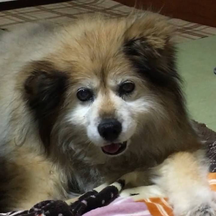 45264310 1de9 45aa bd44 f771b1a7126e 1605227853371