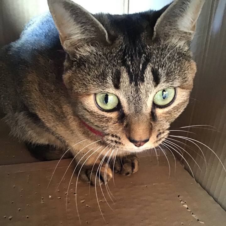 452657b6 972e 4e3a 8d1b d6d356cea86a 1612331535311