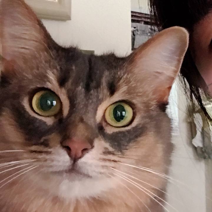 452665c7 7b18 4111 931d c82b0fa62c46 1543151297827