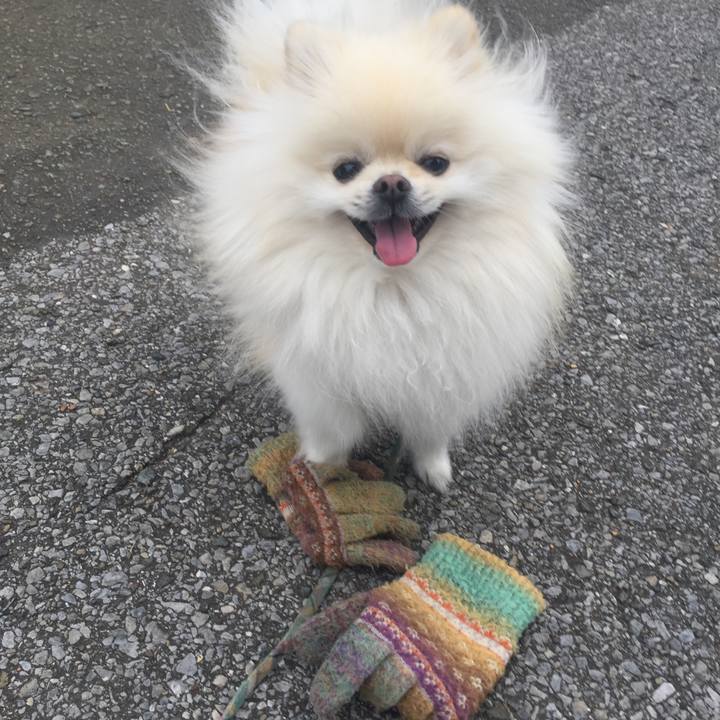 45268b11 1ef5 4769 84bc fb17ffa9621d 1542524386427