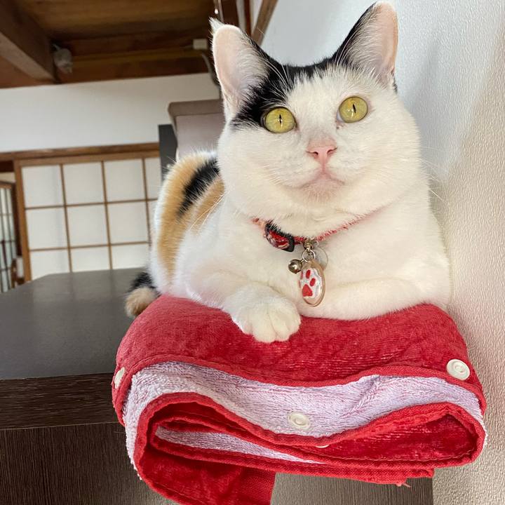 452692e5 6381 4ed8 9b49 72b9aceac0a6 1728204765659