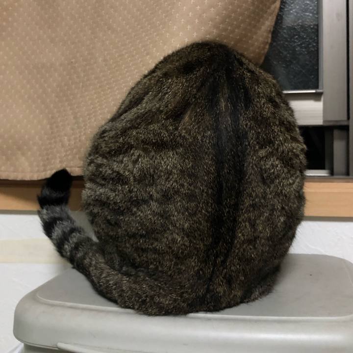 4526a2ab 6f52 44fe bca1 9d472e19448d 1562028779630