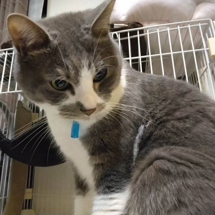 4526c5e3 a877 4915 a5fc b318bde88a96 1680177596874