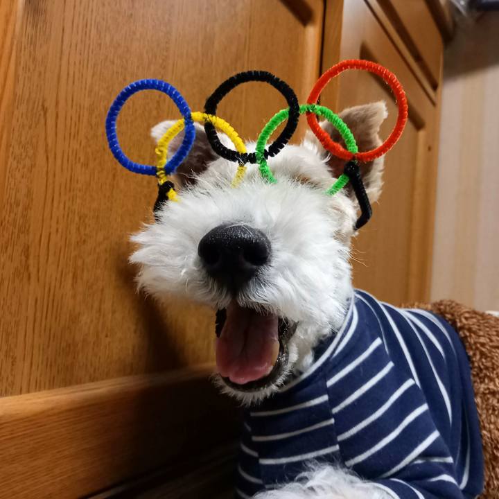 4526e568 d496 4073 b389 90a07fc87080 1643978035463