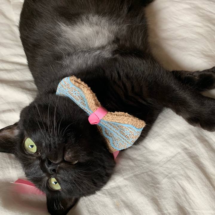 45270479 5c22 49b3 9fd4 5122d08d39d6 1565761777621