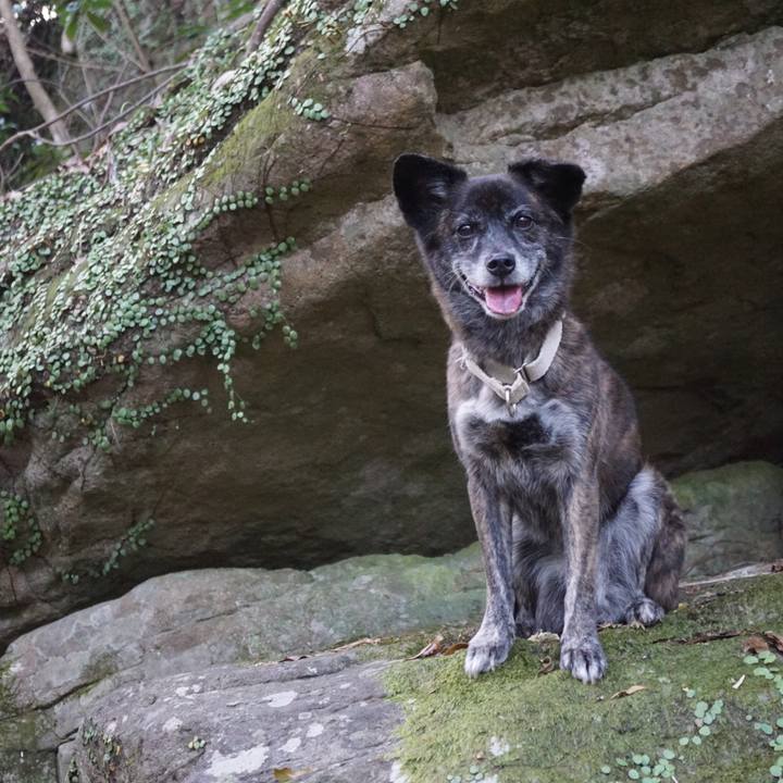 45275433 f076 4f91 8ac3 8646315e04fc 1606264007921