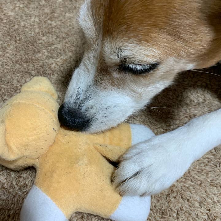 45275888 c92b 456c be5c 70a0cfda7ad7 1592345120687