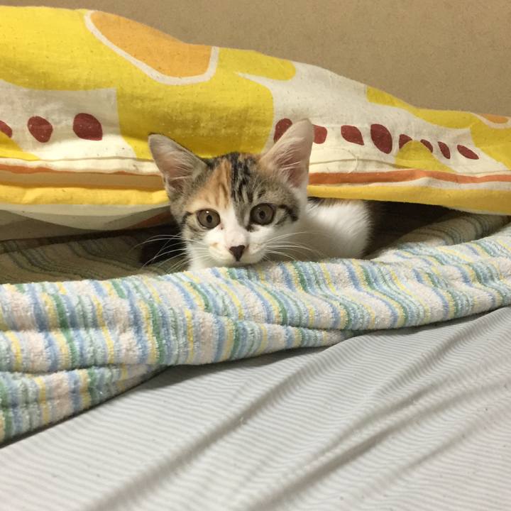 4527714d d30e 4825 9263 79345e2e2eea 1632226234756