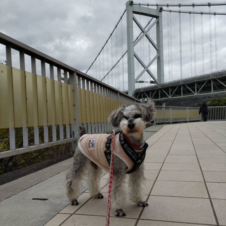 45278189 14af 4ea1 a13a b04dcc8f63c4 1735441439137