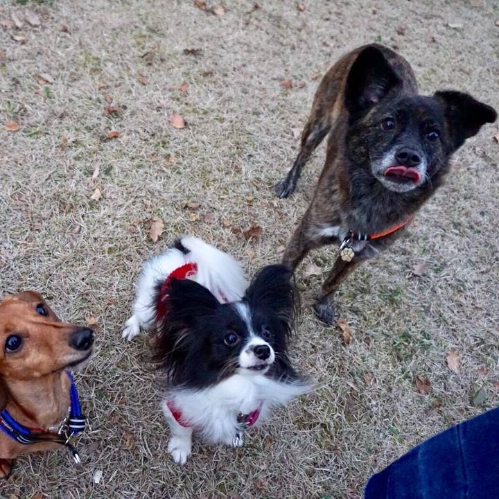 45278639 b1d9 438f a033 cfbf3b371561 1518344055012