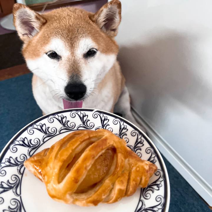 45278d00 b98a 4c5b b406 56af7e67b91d 1723777665711