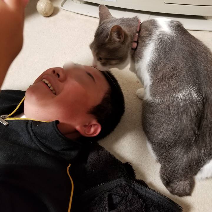 4527ab08 2b8b 4da8 b31e 4afa02222916 1588764979552