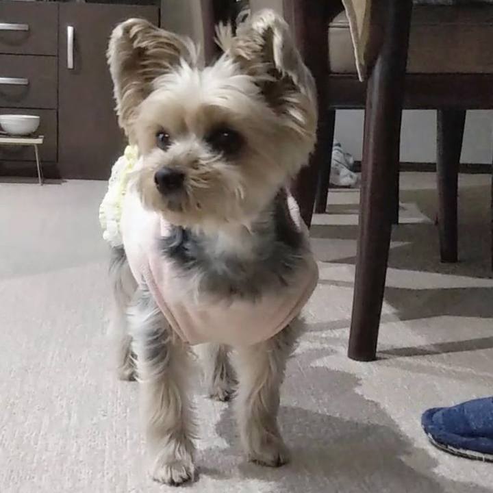 4527e00e 2dae 45f6 8949 1e8abfc560a6 1682485431488