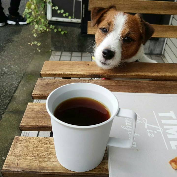 4528182f b359 4e1a bf28 6a872093d840 1509191198945